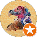 Anne Klopper profile picture